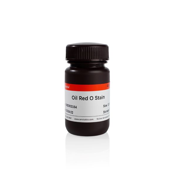 Раствор масляного красного О (Oil Red O Stain), 100 мл