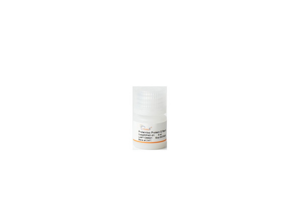 Сорбент для очистки антител ProteinIso Protein G Resin, 5 мл