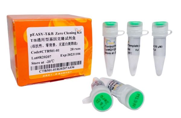 Набор pEASY-T&B Zero Cloning Kit, 60 реакций