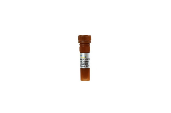 Антитела вторичные козы к IgG кролика (H+L) ProteinFind, AF488, 100 мкл