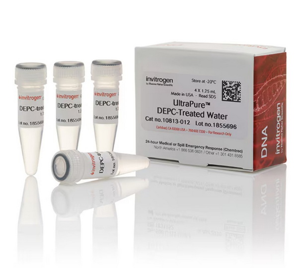 Вода, обработанная UltraPure DEPC, 4 x 100 мл