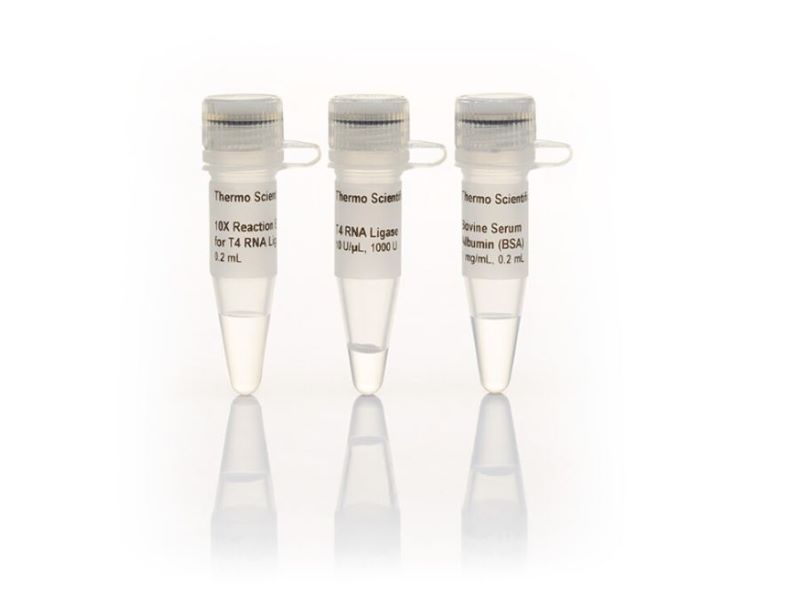 Т4 РНК-лигаза, 10 ед/мкл, 1000 единиц