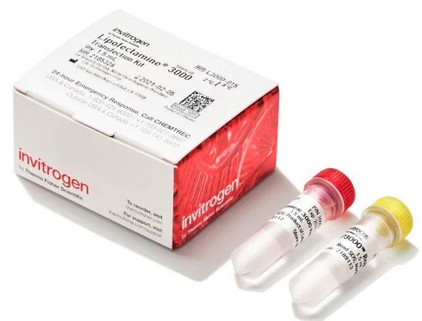 Трансфекционный реагент Lipofectamine 3000, 1.5 мл