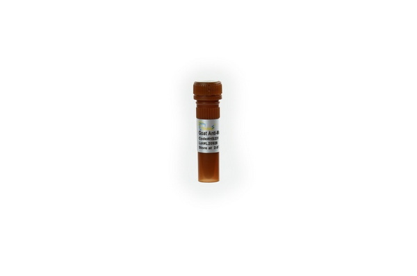 Антитела вторичные козы к IgG мыши (H+L) ProteinFind, AF488, 100 мкл