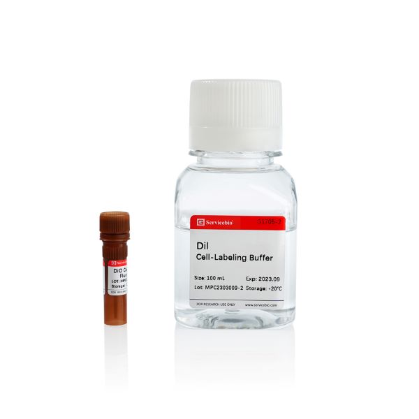 Набор для окрашивания живых и фиксир. клеток и тканей красным флуоресцентным красителем, 100 мл