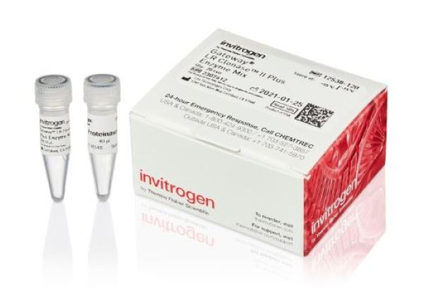 Смесь ферментов LR ClonaseII Plus enzyme, 20 реакций