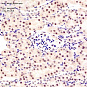 Антитела первичные, поликлональные, NR0B2, 100 мкл