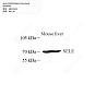 Антитела первичные, поликлональные кролика к CD62E мыши, 100 мкл