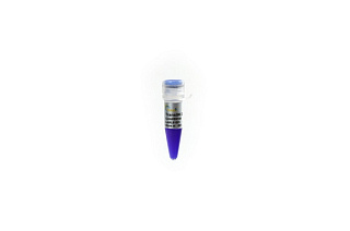 Маркеры молекулярной массы ДНК, 300-5000 п. о., Trans5K DNA Marker, готовый к исп. 5 х 500 мкл