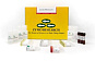 Набор для RRBS Zymo-Seq RRBS Library Kit, 48 реакций