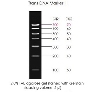Маркеры молекулярной массы ДНК, 100-700 п.о., Trans DNA Marker I, гот. к использ., 500 мкл