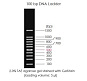 Маркеры молекулярной массы ДНК, 100-1500 п.о., 100bp DNA Ladder, готовые к использ., 5 x 500 мкл