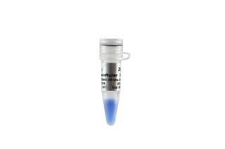 Маркеры молекулярной массы белков ProteinRuler IV, неокрашенные, 30 - 200 кДа, 2 x 250 мкл