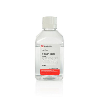 Буфер трис-HCL (TBS), 10-кратный, 500 мл