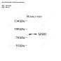 Антитела первичные, поликлональные кролика к MSH5 мыши, 50 мкл