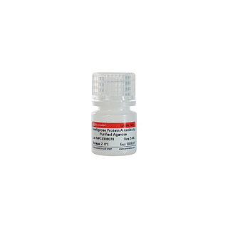 Агарозный гель для очистки антител SweAgarose Protein A, 5 мл