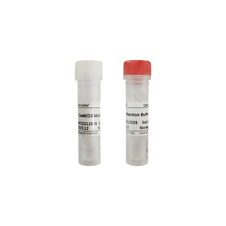 Никаза Cas9 (D10A), 50 пмоль