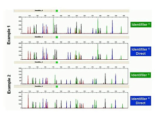 Набор AmpFLSTR Identifiler для прямой ПЦР, 200 реакций