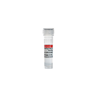 Агарозный гель для очистки антител SweAgarose Protein G, 1 мл