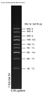 Маркеры молек. массы ДНК, 100-5000 п.о., E-Gel 1 Kb Plus Express, гот. к исп. (9 фр.), 100 реак.