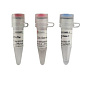 Пептид-N-гликозидаза F (PNGase F), 25000 единиц