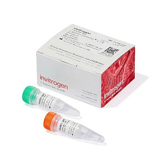 Набор трансфекционных реагентов: Lipofectamine LTX (0.3 мл), реагент PLUS (250 мкл), 1 шт