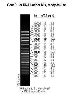 Маркеры мол. массы ДНК, 100-1000 п.о., GeneRuler DNA Ladder Mix (21 фрагмент), гот. к исп., 50 мкг
