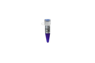 Маркеры молекулярной массы ДНК, 500-8000 п. о., Trans8K DNA Marker, готовые к использ., 500 мкл
