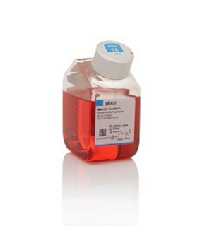Среда культуральная DMEM, низ. сод. глюк., GlutaMAX, пируват, фенол. красный, без HEPES, 10 х 500 мл