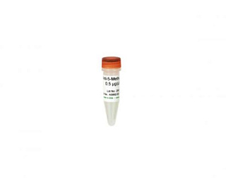 Антитела к 5-метилцитозину (5mC) Anti-5-Methylcytosine (Clone 7D21), экономичная упаковка, 200 мкл