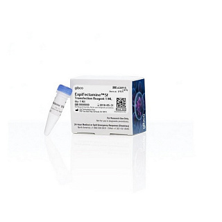 Трансфекционный реагент ExpiFectamine Sf, 1 мл