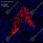 Антитела первичные, поликлональные, Fibronectin, 100 мкл