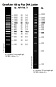 Маркеры молекулярной массы ДНК, 100-3000 п.о., GeneRuler 100 bp Plus DNA (14 фрагментов), 50 мкг