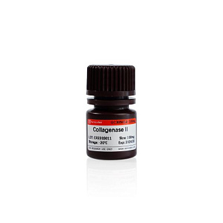 Коллагеназа тип II из Clostridium histolyticum, активность ≥ 125 CDU/мг, CAS 9001-12-1, 100 мг