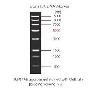 Маркеры молекулярной массы ДНК, 500-15000 п.о, Trans15K DNA Marker, готовые к использ., 500 мкл
