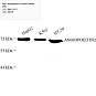 Антитела первичные, поликлональные, Angiopoietin 2/ANG2, 100 мкл