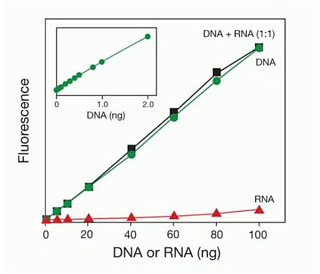 Набор Qubit HS для количественного определения dsDNA, 0.1-120 нг, 500 реакций