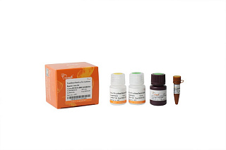 Набор двойного люцифер. анализа TransDetect Dual-Luc Pro Luciferase Reporter Assay Kit, 100 реакций