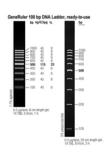 Маркеры молекулярной массы ДНК, 100-1000 п.о., GeneRuler 100, гот.к исп. (10 фр.), 50 мкг