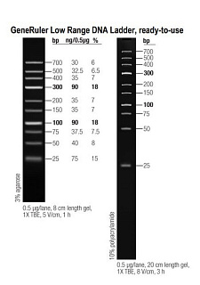 Маркеры молекулярной массы ДНК, 25-700 п.о., GeneRuler Low Range DNA, гот. к исп. (10 фр.), 50 мкг