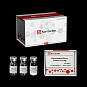 Белок рекомбинантный мыши IL-1 beta Protein (His-tag), 500 мкг