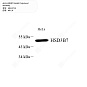 Антитела первичные, поликлональные кролика к HSD3B7 человека, 100 мкл