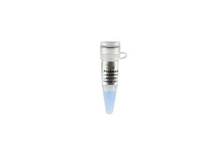 Маркеры молекулярной массы белков ProteinRuler I, неокрашенные, 12 - 80 кДа, 250 мкл
