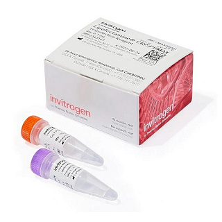 Набор трансфекционных реагентов: Lipofectamine CRISPRMAX, Cas9, 0.1 мл