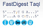 Эндонуклеаза рестрикции ускоренного гидролиза FastDigest TaqI, 400 реакций