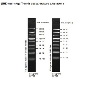 Маркеры мол. массы ДНК, 10-300 п.о., TrackIt Ultra Low Range (9 фрагментов), гот.к исп., 50 мкг