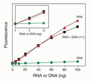 Набор Qubit HS для количественного определения RNA, 4-200 нг, 500 реакций