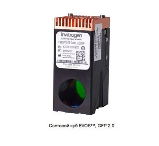Световой куб EVOS, GFP 2.0, совместим с Countess III FL, M5000, M7000