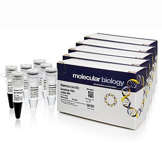 Маркеры мол. массы ДНК, 100-1000 п.о., GeneRuler DNA Ladder Mix (21 фр.), с красителем, 25х50 мкг