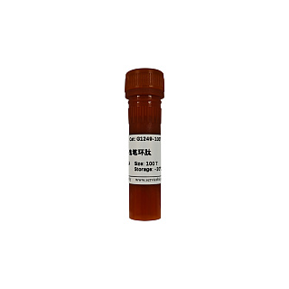 Краситель IF555-Phalloidin, 100 реакций